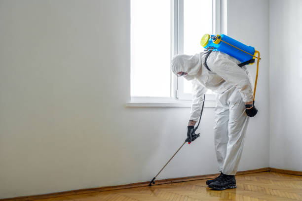 Best Commercial Pest Control Services  in Canal Fulton, OH