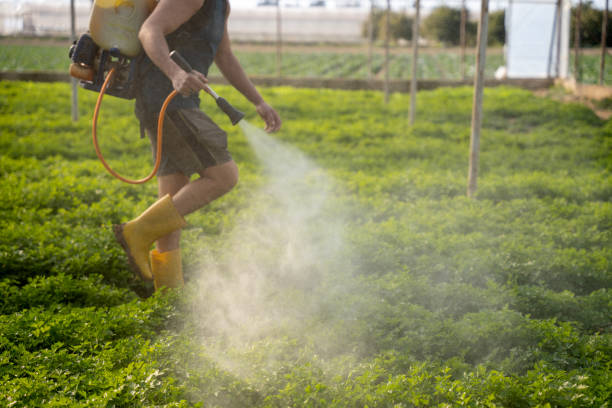Best Pest Inspection Near Me  in Canal Fulton, OH