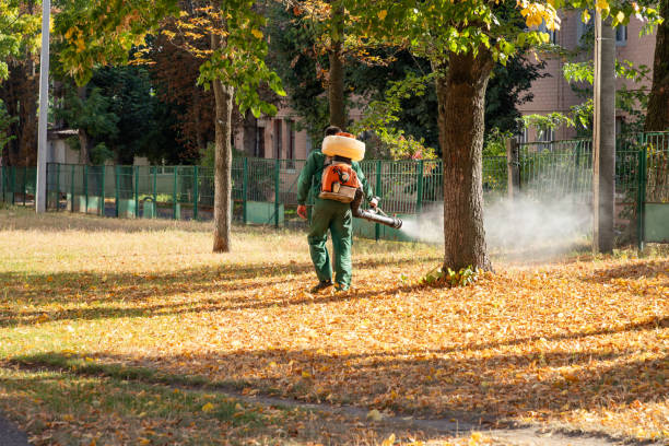 Best Affordable Pest Control Services  in Canal Fulton, OH