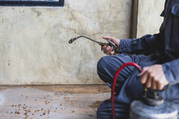 Best Affordable Pest Control Services  in Canal Fulton, OH